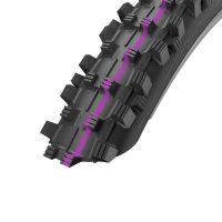 Schwalbe Addix Dirty Dan Ultra