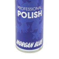 Morgan Blue Polish Spray