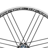 Campagnolo Shamal Ultra C17 Clincher Wheels Rear CA - Image 2