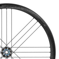 Campagnolo Bora WTO 33 Disc 2-Way Tubeless Dark Label Clincher Wheels Rear Ca - Image 4