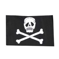 Flag With Pole And Bicycle Mounting Bracket