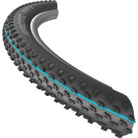 Schwalbe Addix Racing Ray tire