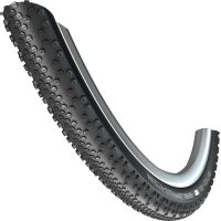 Schwalbe G-One Bite Evolution