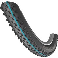 Schwalbe Addix Racing Ray tire