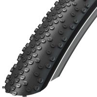 Schwalbe G-One Bite Evolution