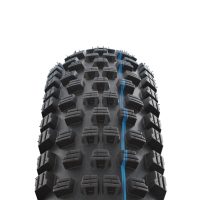 Schwalbe Wicked Will Addix